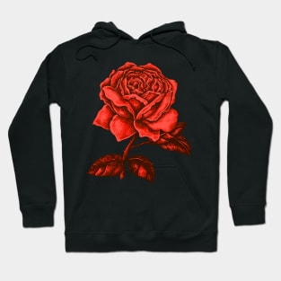 Rose Red Love Vintage Tattoo Illustration Roses Hoodie